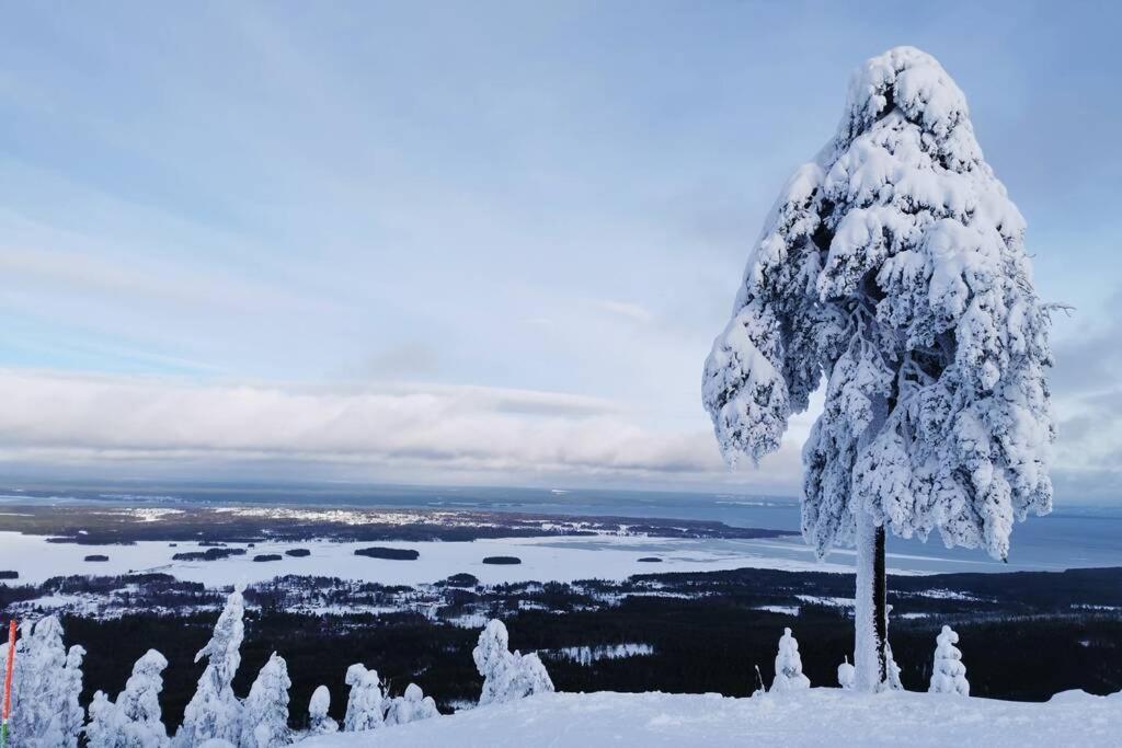 Idyllisk Nybyggd Stuga Pa Solleroen. Solleron المظهر الخارجي الصورة